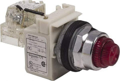 Schneider Electric - 120 VAC Red Lens LED Pilot Light - Round Lens, Screw Clamp Connector - Benchmark Tooling