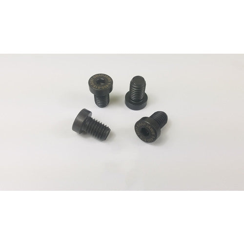 6″ Mount Screws 4 Pc. Per Pack - Benchmark Tooling