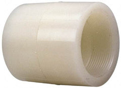 NIBCO - 1" PVDF Plastic Pipe Adapter Coupling - Schedule 80, S x FIPT End Connections - Benchmark Tooling