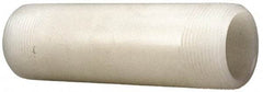 NIBCO - 1" Pipe, 6" Long PVDF Threaded Plastic Pipe Nipple - Schedule 80, Natural - Benchmark Tooling