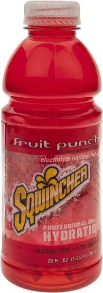 Sqwincher - 20 oz Bottle Fruit Punch Activity Drink - Ready-to-Drink - Benchmark Tooling