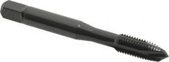 OSG - 5/16-24 UNF, 3 Flute, Oxide Finish, Vanadium High Speed Steel Spiral Point Tap - Plug Chamfer, Right Hand Thread, 2-23/32" OAL, 1-1/8" Thread Length, 0.318" Shank Diam, 2B Class of Fit, Series 300 - Exact Industrial Supply