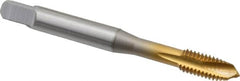 OSG - M6x1.00 Metric Coarse, 3 Flute, TiN Finish, Vanadium High Speed Steel Spiral Point Tap - Plug Chamfer, Right Hand Thread, 2-1/2" OAL, 1" Thread Length, 0.255" Shank Diam, 6H Class of Fit, Series 342 - Exact Industrial Supply