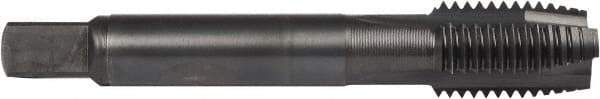 DORMER - M8x1.00 Metric Fine, 3 Flute, Oxide Finish, Powdered Metal Spiral Point Tap - Plug Chamfer, Right Hand Thread, 2-23/32" OAL, 19/32" Thread Length, 0.318" Shank Diam, 6H Class of Fit, Series E016 - Exact Industrial Supply