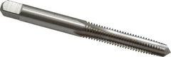 Cleveland - M6x1.00 Metric Coarse 6H 4 Flute Bright Finish High Speed Steel Straight Flute Standard Hand Tap - Taper, Right Hand Thread, 63.5mm OAL, 25.4mm Thread Length, D5 Limit, Oversize - Exact Industrial Supply