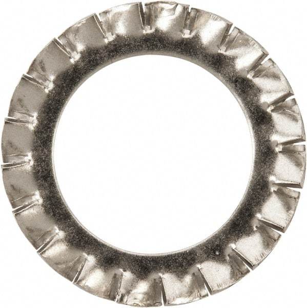 Value Collection - M22 Screw, 23mm ID, Stainless Steel External Tooth Lock Washer - 36mm OD, Uncoated, Grade 316 & Austenitic A4 - Benchmark Tooling