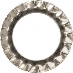 Value Collection - M22 Screw, 23mm ID, Stainless Steel External Tooth Lock Washer - 36mm OD, Uncoated, Grade 316 & Austenitic A4 - Benchmark Tooling