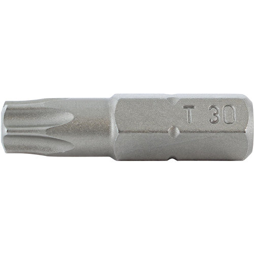 T30X25MM TORX 10PK - Benchmark Tooling