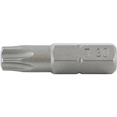 T30X25MM TORX 10PK - Benchmark Tooling