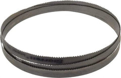 Starrett - 6 to 10 TPI, 7' 8-1/2" Long x 3/4" Wide x 0.035" Thick, Welded Band Saw Blade - Bi-Metal, Toothed Edge, Raker Tooth Set, Contour Cutting - Benchmark Tooling