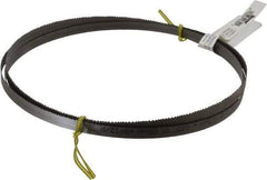 Starrett - 8 to 12 TPI, 8' 2" Long x 1/2" Wide x 0.025" Thick, Welded Band Saw Blade - Bi-Metal, Toothed Edge, Raker Tooth Set, Contour Cutting - Benchmark Tooling