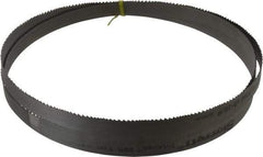 Starrett - 6 to 10 TPI, 8' 2-1/2" Long x 3/4" Wide x 0.035" Thick, Welded Band Saw Blade - Bi-Metal, Toothed Edge, Raker Tooth Set, Contour Cutting - Benchmark Tooling