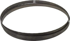 Starrett - 8 to 12 TPI, 9' 7-1/2" Long x 3/4" Wide x 0.035" Thick, Welded Band Saw Blade - Bi-Metal, Toothed Edge, Raker Tooth Set, Contour Cutting - Benchmark Tooling