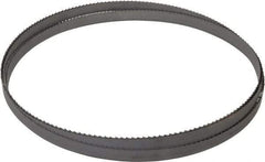 Starrett - 6 TPI, 12' 6" Long x 1/2" Wide x 0.025" Thick, Welded Band Saw Blade - Bi-Metal, Toothed Edge, Raker Tooth Set, Contour Cutting - Benchmark Tooling