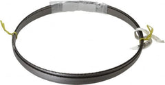 Starrett - 10 TPI, 14' 6" Long x 1/2" Wide x 0.035" Thick, Welded Band Saw Blade - Bi-Metal, Toothed Edge, Raker Tooth Set, Contour Cutting - Benchmark Tooling