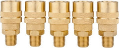 Value Collection - 5 Piece 1/4" Body 1/4 NPT 145 psi Brass Industrial Pneumatic Coupling Plug Set - Benchmark Tooling