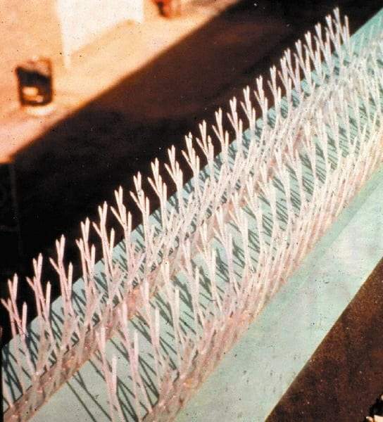 Bird-X - Plastic Bird Spikes - 4-1/2 Inch High x 4-1/2 Inch Wide x 25 Ft. Long x 1 Inch Thick - Benchmark Tooling