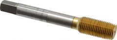 OSG - 1/2-20 UNF H5 Thread Limit Plug Thread Forming Tap - Cobalt, TiN Finish, 3-3/8" OAL, 1-21/32" Thread Length, Right Hand Thread, Series HY-PRO NRT - Benchmark Tooling