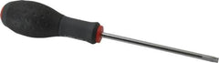 Blackhawk by Proto - TT30 Torx Driver - 5" Blade Length, 9-1/2" OAL, Ergonomic Handle - Benchmark Tooling