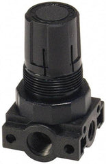 Parker - 3/8 NPT Port, Plastic Miniature Regulator - 0 to 60 psi Range, 150 Max psi Supply Pressure, 1/4" Gauge Port Thread, 2.06" Wide x 3.43" High - Benchmark Tooling