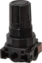 Parker - 1/4 NPT Port, Plastic Miniature Regulator - 0 to 60 psi Range, 150 Max psi Supply Pressure, 1/8" Gauge Port Thread, 1.6" Wide x 3.1" High - Benchmark Tooling