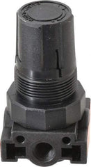 Parker - 1/4 NPT Port, Plastic Miniature Regulator - 0 to 125 psi Range, 150 Max psi Supply Pressure, 1/8" Gauge Port Thread, 1.6" Wide x 3.1" High - Benchmark Tooling