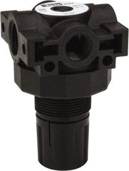 Parker - 3/8 NPT Port, Plastic Miniature Regulator - 0 to 25 psi Range, 150 Max psi Supply Pressure, 1/4" Gauge Port Thread, 2.06" Wide x 3.43" High - Benchmark Tooling