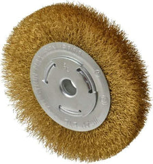 Value Collection - 6" OD, 5/8" Arbor Hole, Crimped Brass Wheel Brush - 1" Face Width, 1-1/8" Trim Length, 0.012" Filament Diam, 6,000 RPM - Benchmark Tooling