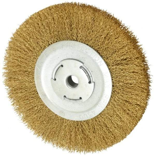 Value Collection - 8" OD, 5/8" Arbor Hole, Crimped Brass Wheel Brush - 1/2" Face Width, 1-3/4" Trim Length, 0.02" Filament Diam, 4,500 RPM - Benchmark Tooling