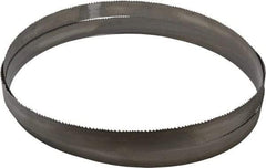 Starrett - 5 to 8 TPI, 12' 6" Long x 1-1/4" Wide x 0.042" Thick, Welded Band Saw Blade - Bi-Metal, Toothed Edge, Modified Tooth Set, Contour Cutting - Benchmark Tooling