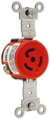 Leviton - 125 VAC, 15 Amp, 5-15R NEMA, Self Grounding Receptacle - 2 Poles, 3 Wire, Female End, Orange - Benchmark Tooling