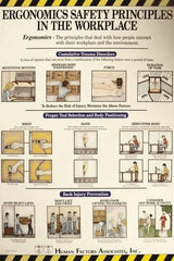 NMC - 24" Wide x 36" High Laminated Paper Ergonomics Information Poster - English - Benchmark Tooling