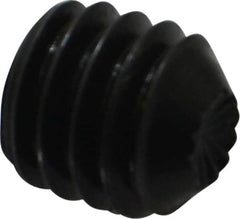 Holo-Krome - 5/16-18 UNC, 5/16" OAL, Internal Knurl Point Set Screw - Grade 8 Alloy Steel, 5/32" Key - Benchmark Tooling