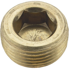 Holo-Krome - 3/4-14, 17/32" OAL, Brass Socket Pressure Plug - Benchmark Tooling