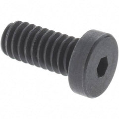 Holo-Krome - M12x1.75 Metric Coarse Hex Socket Drive, Low Socket Cap Screw - Grade 10.9 Alloy Steel, Black Oxide Finish, Fully Threaded, 100mm Length Under Head - Benchmark Tooling