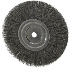 Weiler - 8" OD, 5/8" Arbor Hole, Crimped Steel Wheel Brush - 1/2" Face Width, 2-1/16" Trim Length, 0.0118" Filament Diam, 6,000 RPM - Benchmark Tooling