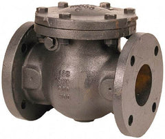 NIBCO - 6" Cast Iron Check Valve - Flanged, 200 WOG - Benchmark Tooling