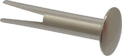 RivetKing - 0.1 to 0.17" Hole Diam, Dome Head, Nickel Plated Steel, Split Rivet - 5/16 Head Diam, 3/4" Length Under Head, 9/64 Body Diam - Benchmark Tooling