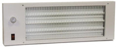 TPI - 22-3/4" Long, 580 BTU Radiant Heat Panel - 120 Volts, 170 Watts - Benchmark Tooling