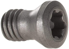 Seco - Torx Plus Lock Screw for Indexable Milling - For Use with Inserts - Benchmark Tooling
