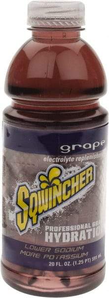 Sqwincher - 20 oz Bottle Grape Activity Drink - Ready-to-Drink - Benchmark Tooling