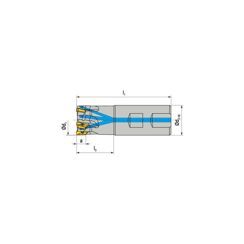 Indexable Square-Shoulder End Mill:  C211.20.R.05-07-B-25,  20.0000'' Shank Dia,  Weldon Flat Shank Uses  5,  Normal Pressure,  77.00 mm OAL