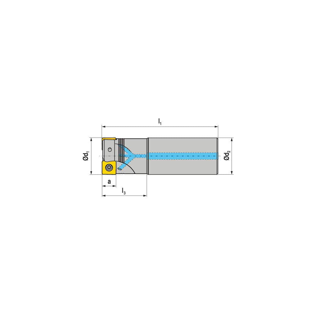 Indexable Square-Shoulder End Mill:  C491125R0212A250EF1000,  1.2500'' Cut Dia,  0.3150'' Max Depth of Cut,  1.2500'' Shank Dia,  Cylindrical Shank Uses  2,  Normal Pressure,