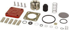 Tuthill - Repair Part Kit - For Use with Diaphragm Pumps - Benchmark Tooling