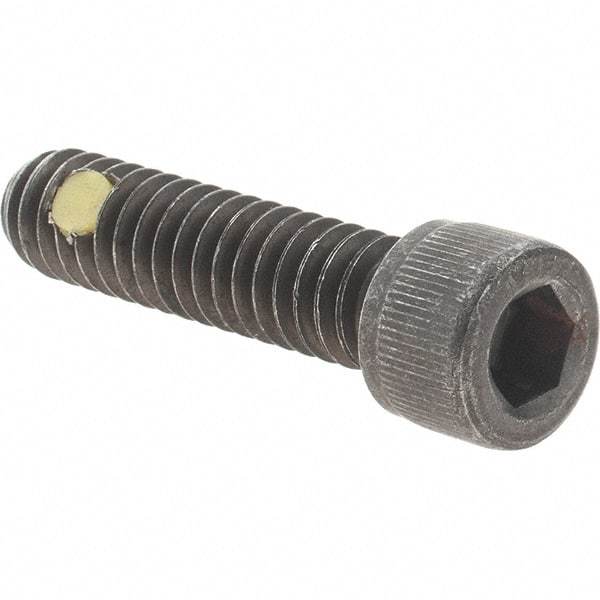 Value Collection - 1/4-20 UNC Hex Socket Drive, Socket Cap Screw - Alloy Steel, Black Oxide Finish, Fully Threaded, 1" Length Under Head - Benchmark Tooling