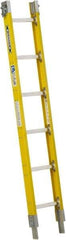 Werner - 6' High, Type I Rating, Fiberglass Extension Ladder - 250 Lb Capacity - Benchmark Tooling