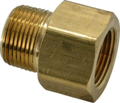 Parker - 3/4 Male Thread x 3/4 Female Thread, Brass Industrial Pipe Adapter - MNPTF x FNPTF, 1,000 psi - Benchmark Tooling