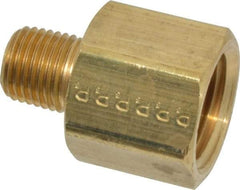 Parker - 1/4 Male Thread x 1/2 Female Thread, Brass Industrial Pipe Adapter - MNPTF x FNPTF, 1,000 psi - Benchmark Tooling