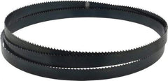 Starrett - 6 TPI, 7' 9" Long x 3/4" Wide x 0.032" Thick, Welded Band Saw Blade - Carbon Steel, Toothed Edge, Raker Tooth Set, Flexible Back, Contour Cutting - Benchmark Tooling
