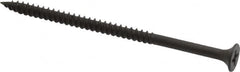 Value Collection - #8, 3" OAL, Phillips Drive Bugle Head, Steel Drywall Screws - Black Phosphate Finish, Grade 1018 - Benchmark Tooling